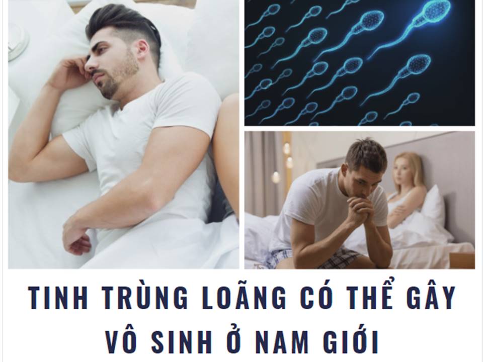 tinh trùng loãng uống Spermq